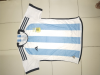 Argentina home kit (World Cup 2022)